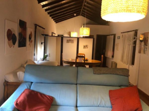 Apartamento estudio de 50m2, todo exterior y con patio, ideal para parejas, familias con niños pequeños y para hospedajes de largas estancias, con techo abuhardillado y una de las mejores vistas de To